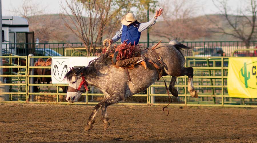 Cuesta College/Cal Poly Rodeo