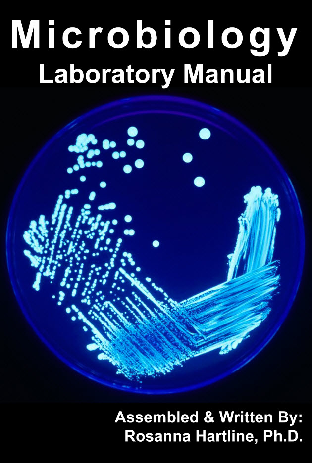 lab manual cover with petri dish growth illuminated in blue