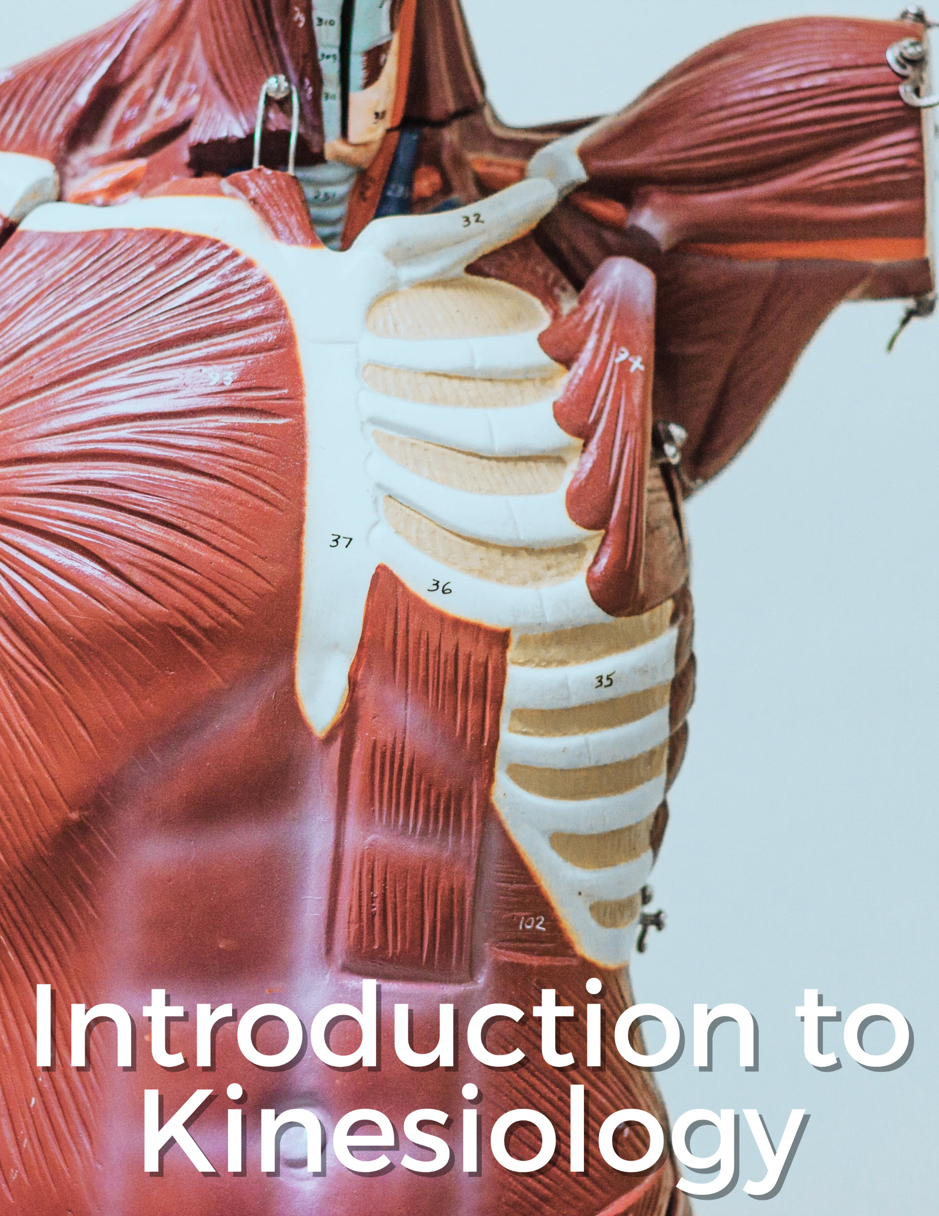 cover of kinesiology textbook